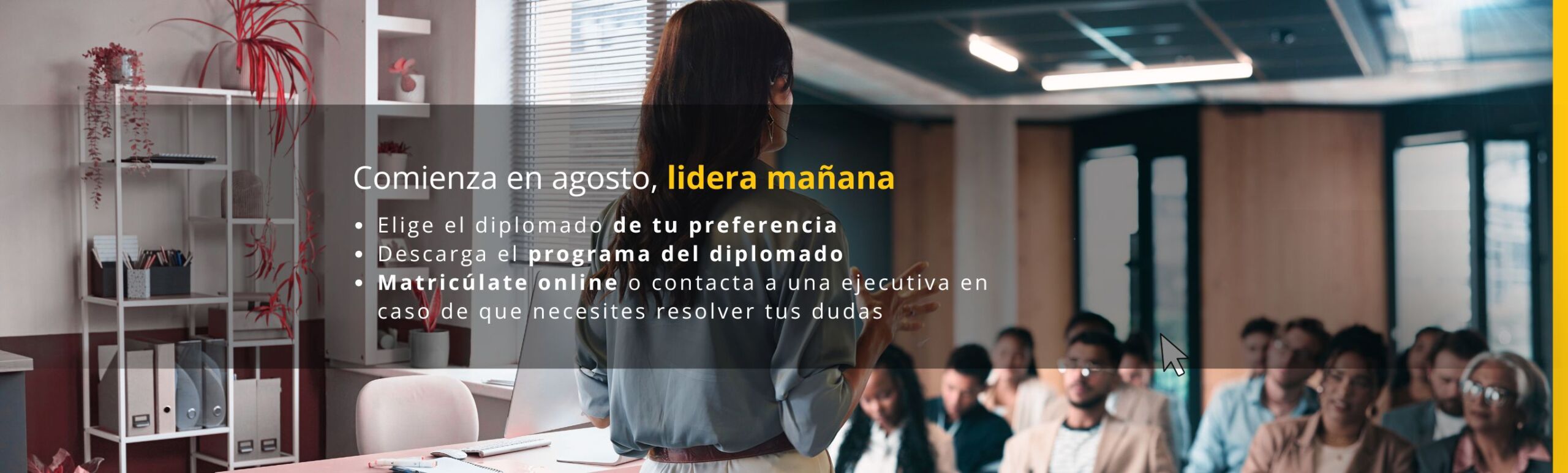 banner principal