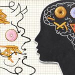 obesidad, neurobiología, TCA